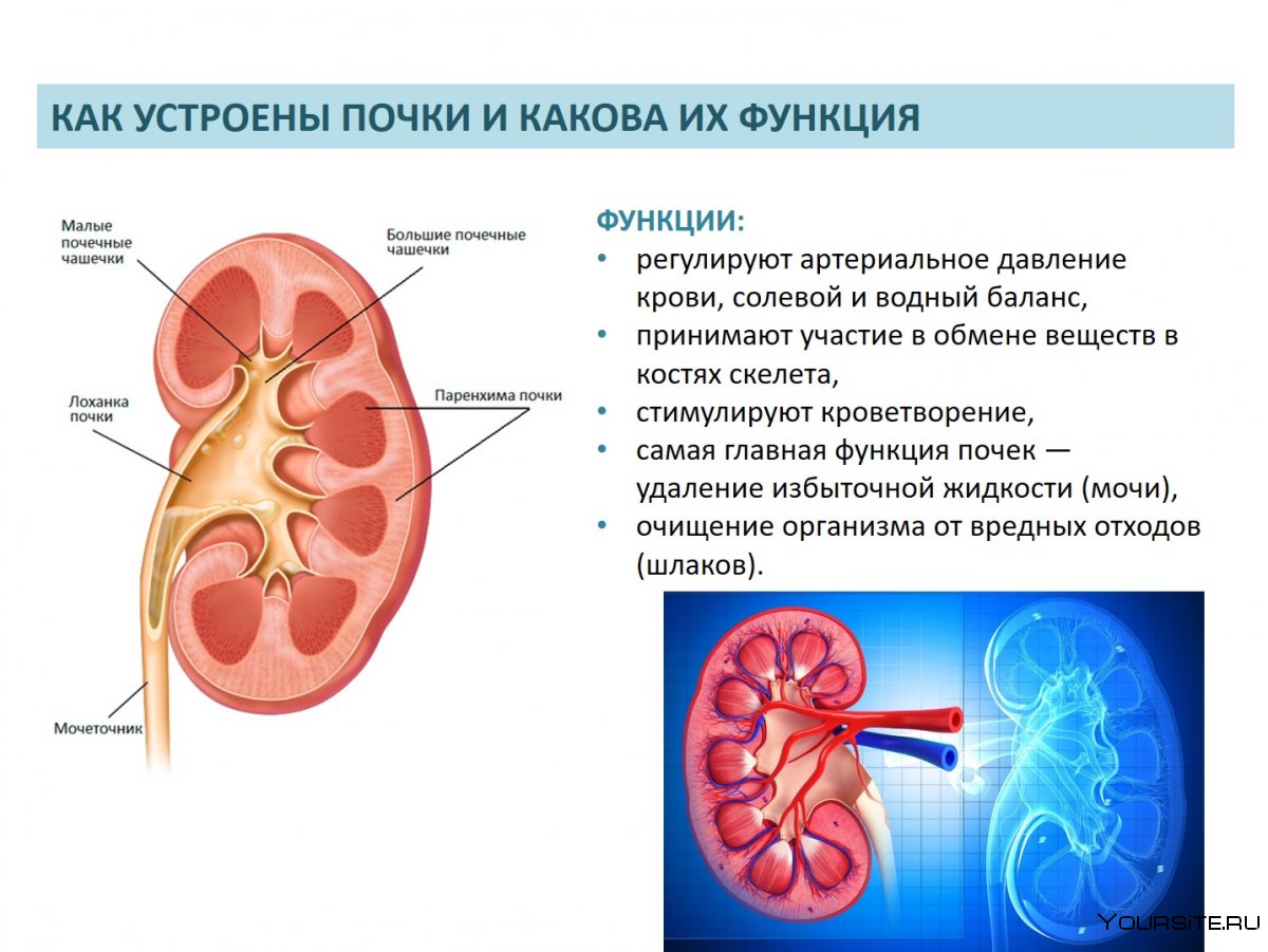 Без рубрики | Долг врача в том, чтобы лечить безопасно, качественно,  приятно | Страница 33